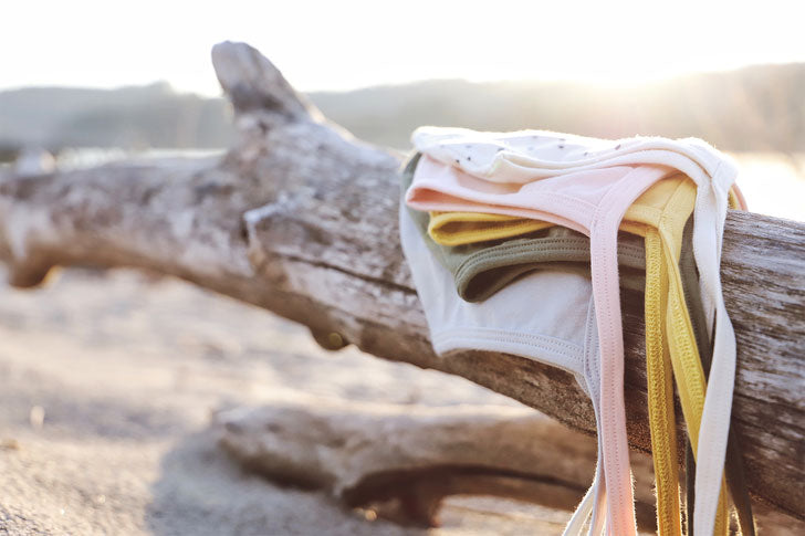 Our Shoreline Collection